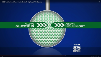 diagram showing film allowing glucose in and insulin out