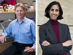 Craik and Desai.