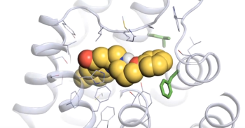 graphic model of molecule